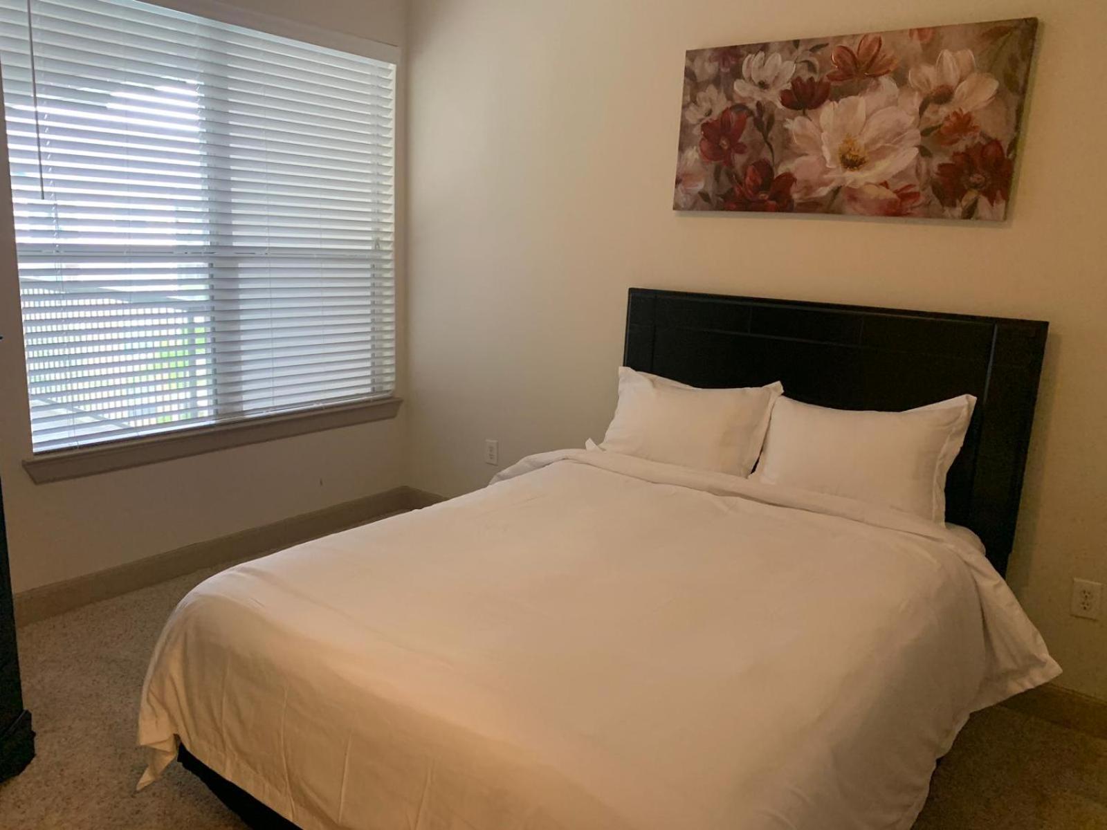 Gorgeous Furnished Apartments Near Texas Medical Center & Nrg Stadium 休斯敦 客房 照片
