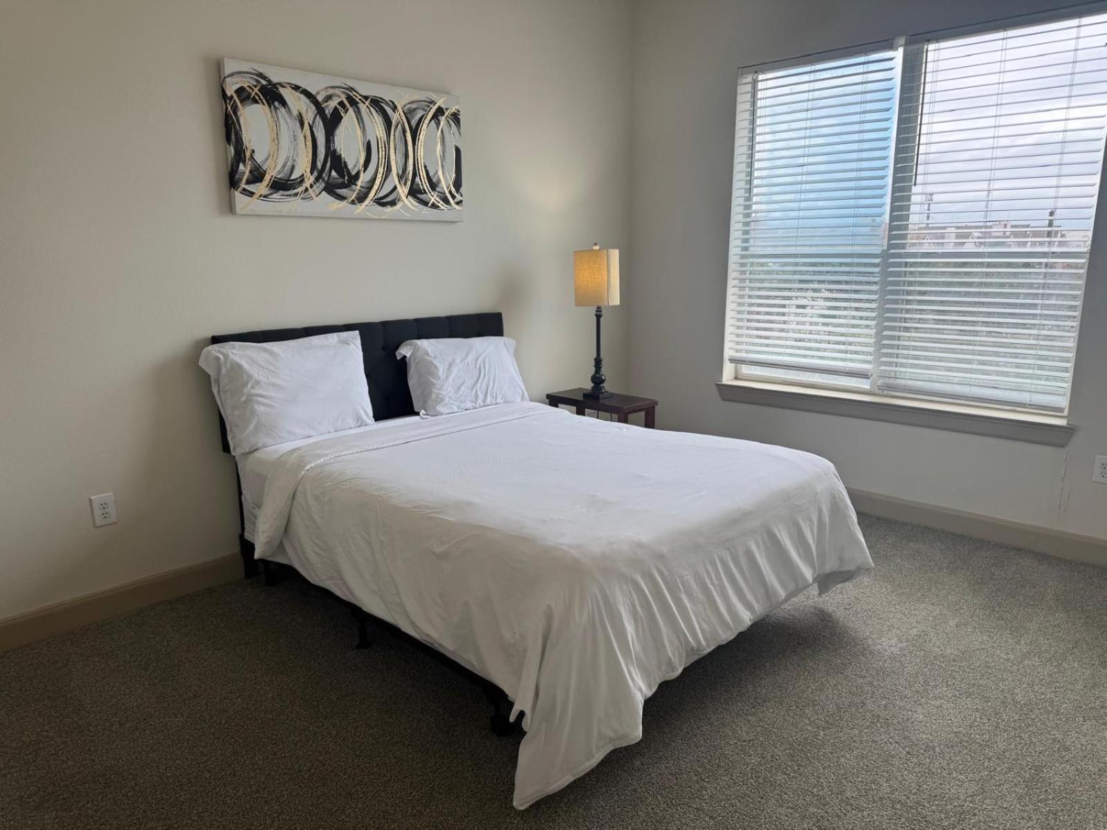 Gorgeous Furnished Apartments Near Texas Medical Center & Nrg Stadium 休斯敦 客房 照片