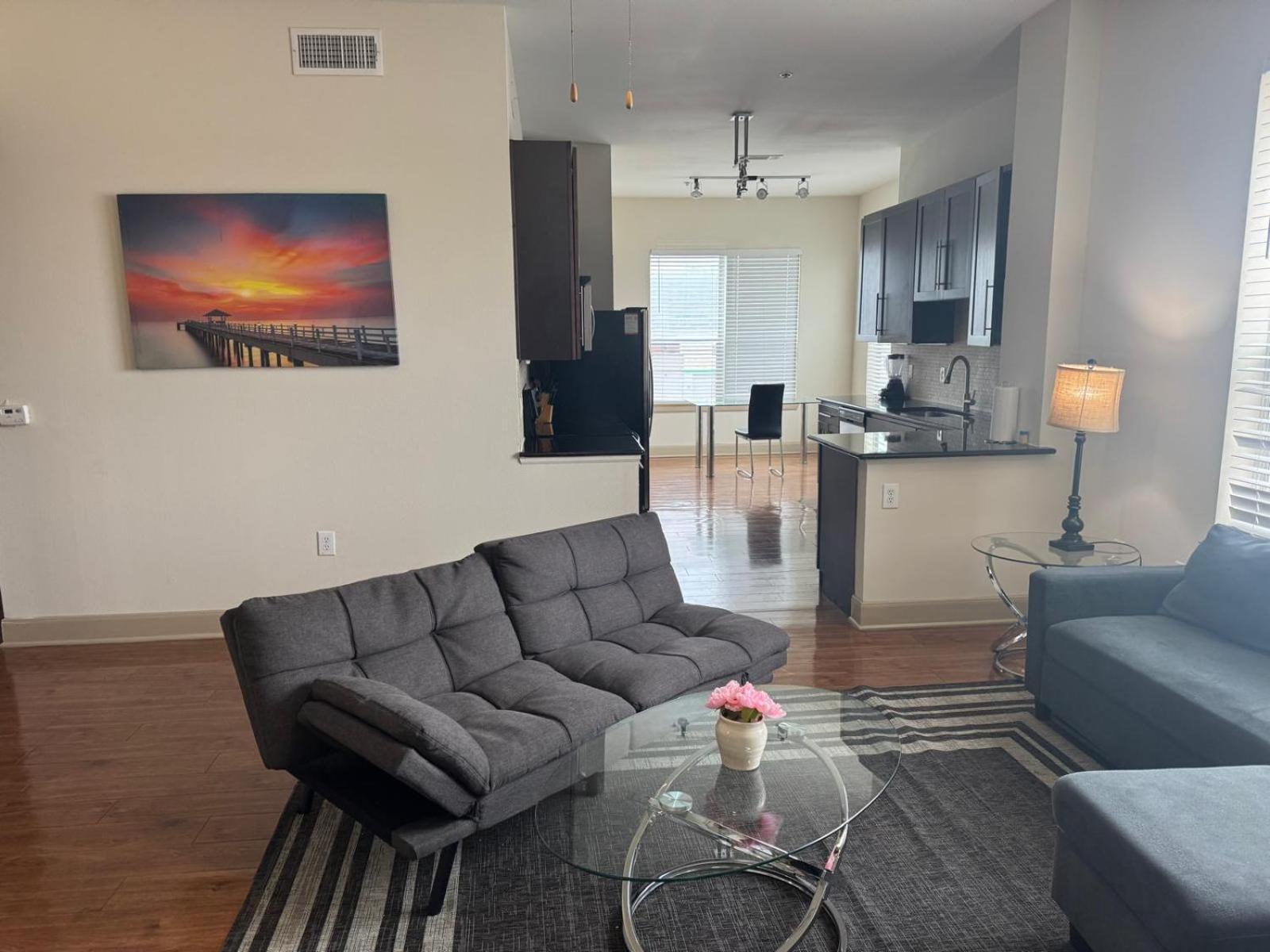Gorgeous Furnished Apartments Near Texas Medical Center & Nrg Stadium 休斯敦 客房 照片